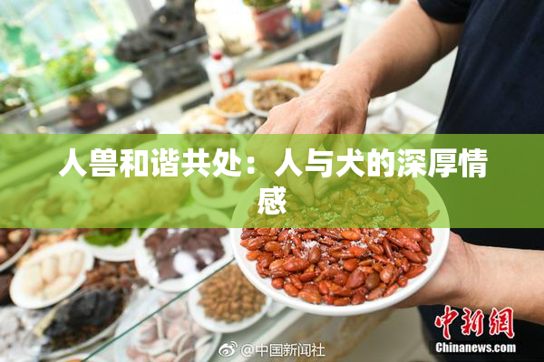 人兽和谐共处：人与犬的深厚情感