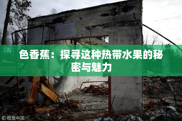 色香蕉：探寻这种热带水果的秘密与魅力