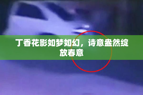 丁香花影如梦如幻，诗意盎然绽放春意