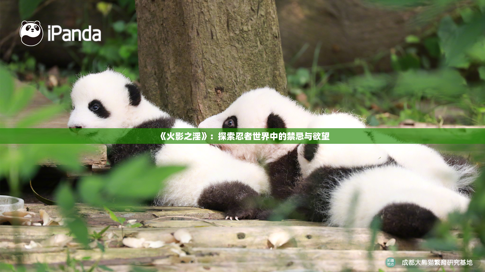 《火影之淫》：探索忍者世界中的禁忌与欲望