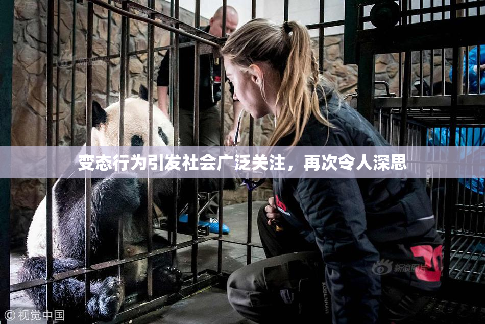 变态行为引发社会广泛关注，再次令人深思