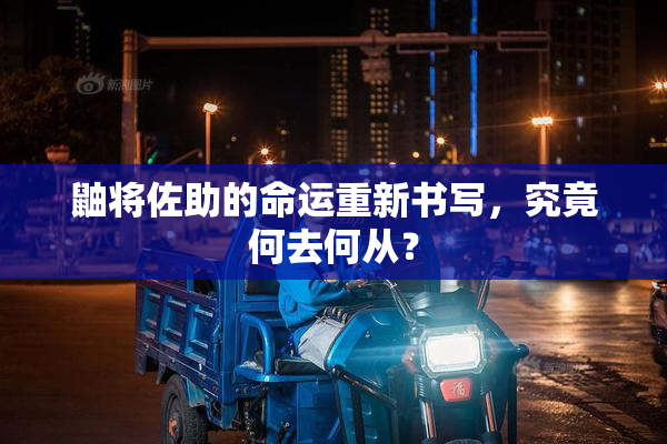 鼬将佐助的命运重新书写，究竟何去何从？