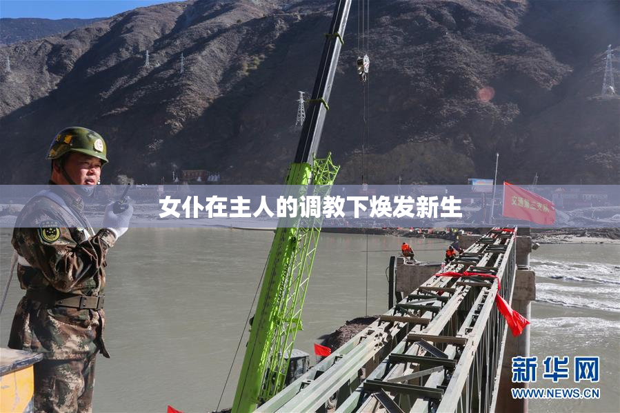 女仆在主人的调教下焕发新生