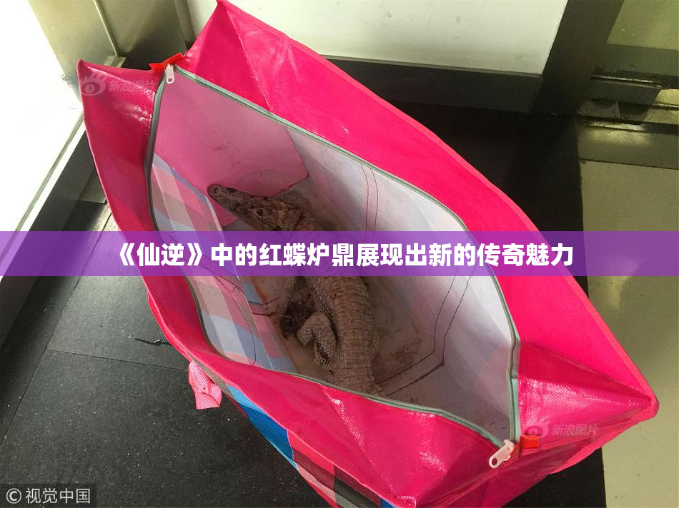 《仙逆》中的红蝶炉鼎展现出新的传奇魅力