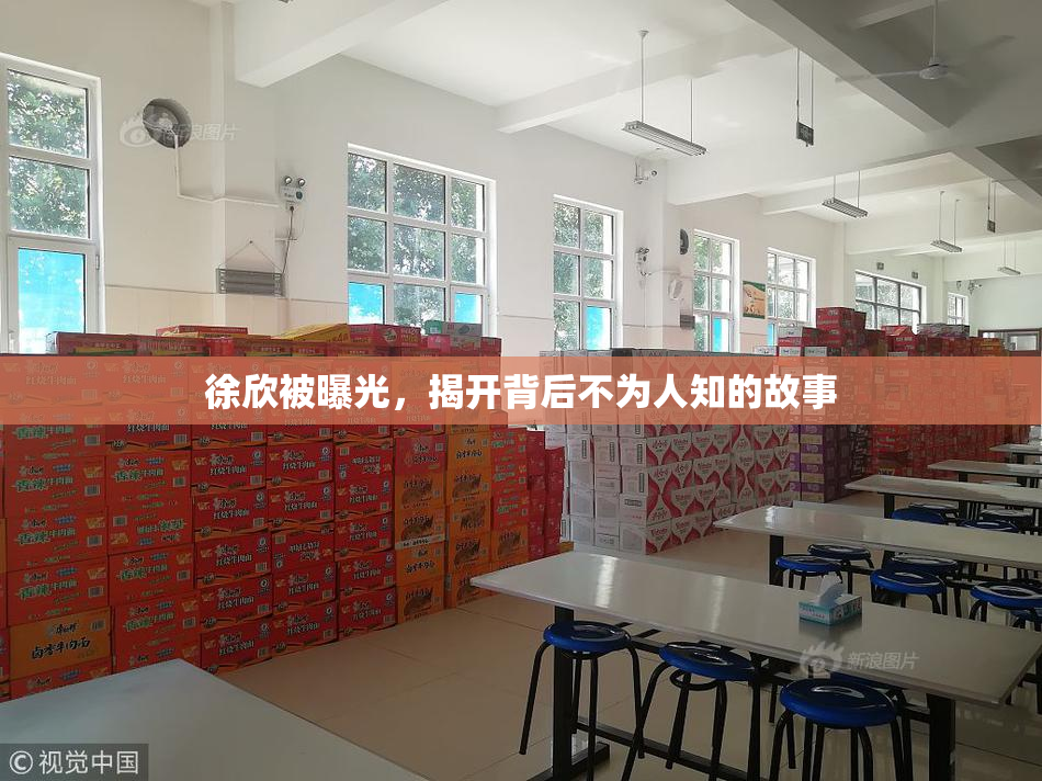徐欣被曝光，揭开背后不为人知的故事