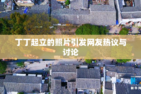 丁丁起立的照片引发网友热议与讨论