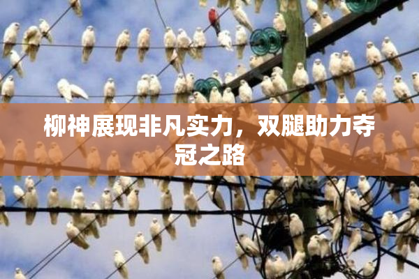 柳神展现非凡实力，双腿助力夺冠之路