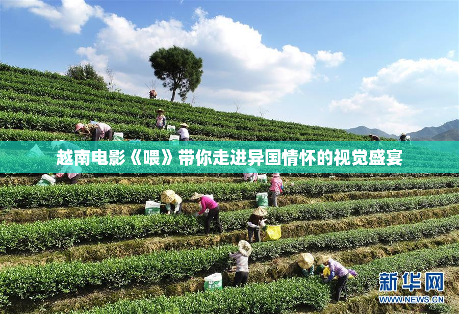 越南电影《喂》带你走进异国情怀的视觉盛宴