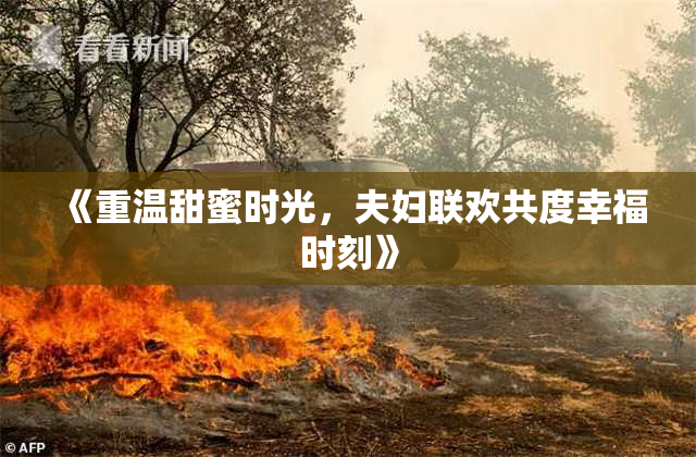 《重温甜蜜时光，夫妇联欢共度幸福时刻》