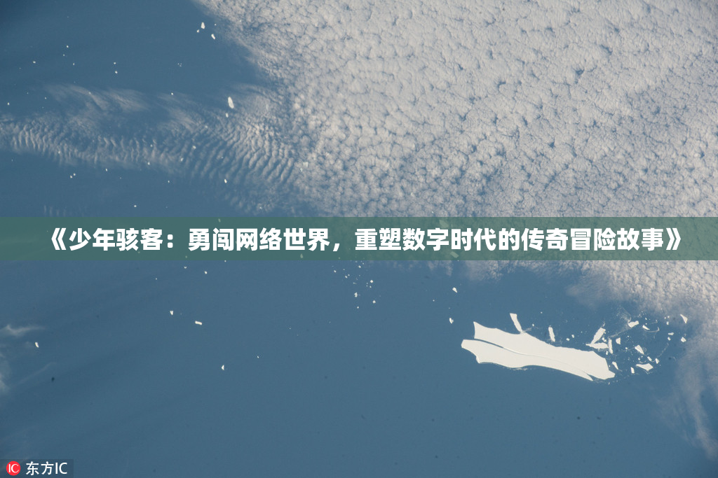 《少年骇客：勇闯网络世界，重塑数字时代的传奇冒险故事》
