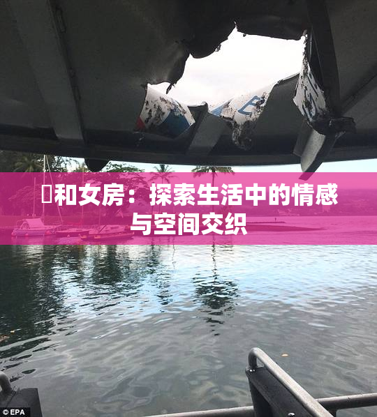 巜和女房：探索生活中的情感与空间交织