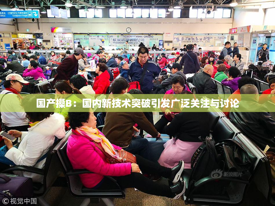 国产搡B：国内新技术突破引发广泛关注与讨论