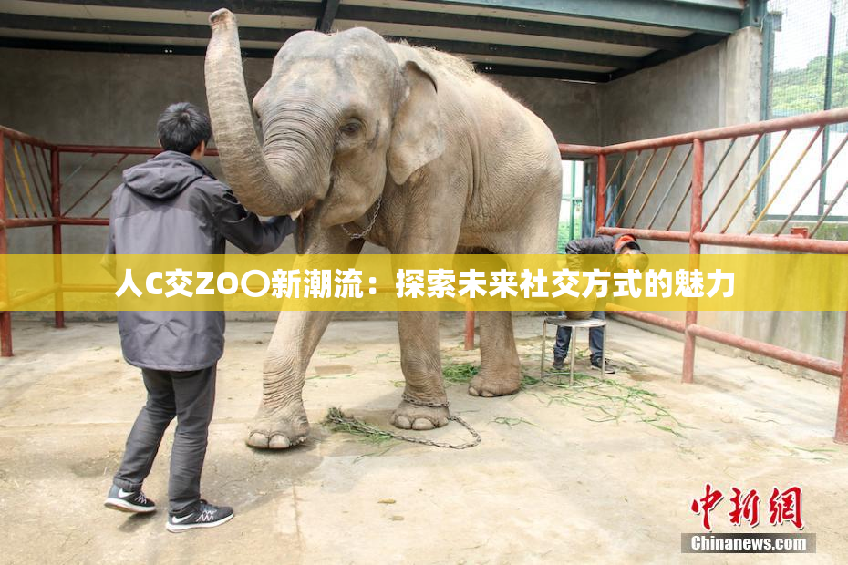 人C交ZO〇新潮流：探索未来社交方式的魅力