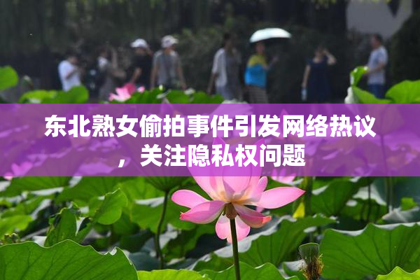 东北熟女偷拍事件引发网络热议，关注隐私权问题