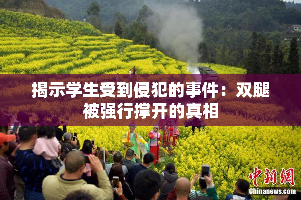 揭示学生受到侵犯的事件：双腿被强行撑开的真相