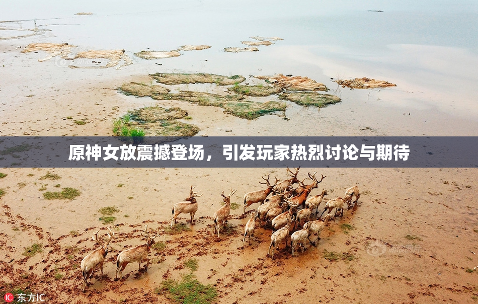 原神女放震撼登场，引发玩家热烈讨论与期待