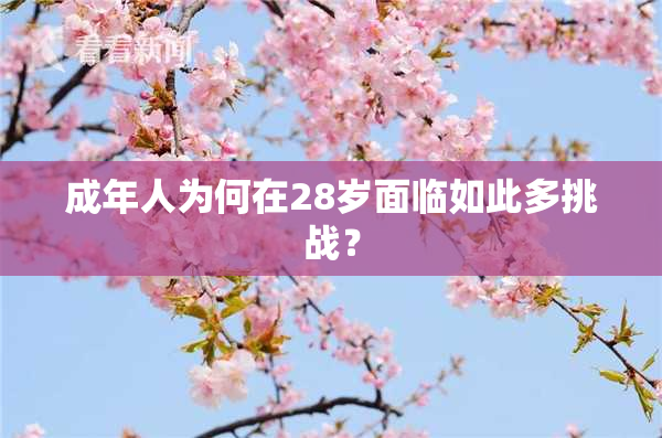 成年人为何在28岁面临如此多挑战？