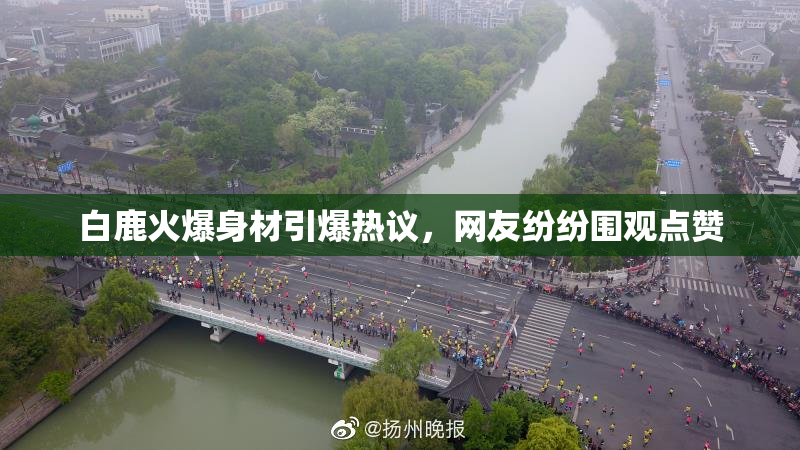 白鹿火爆身材引爆热议，网友纷纷围观点赞