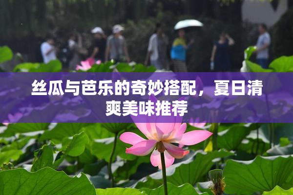 丝瓜与芭乐的奇妙搭配，夏日清爽美味推荐