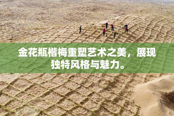 金花瓶楷梅重塑艺术之美，展现独特风格与魅力。