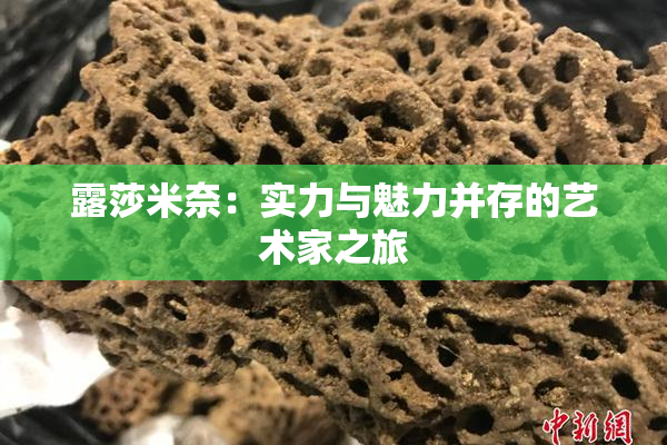 露莎米奈：实力与魅力并存的艺术家之旅