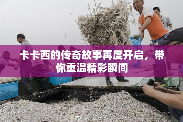 卡卡西的传奇故事再度开启，带你重温精彩瞬间