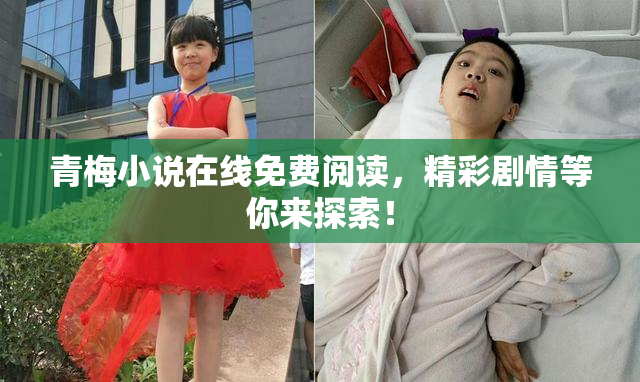 青梅小说在线免费阅读，精彩剧情等你来探索！