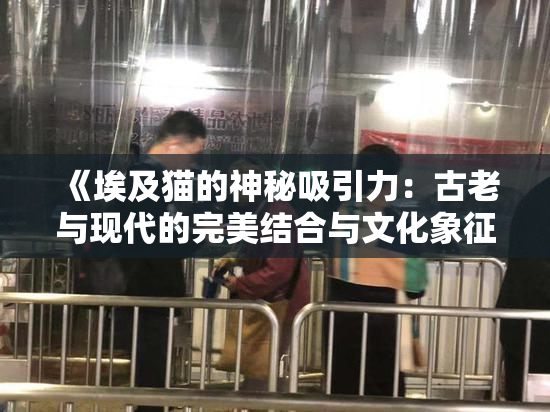 《埃及猫的神秘吸引力：古老与现代的完美结合与文化象征》