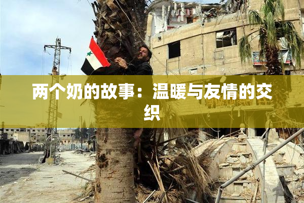 两个奶的故事：温暖与友情的交织