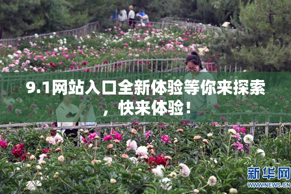 9.1网站入口全新体验等你来探索，快来体验！
