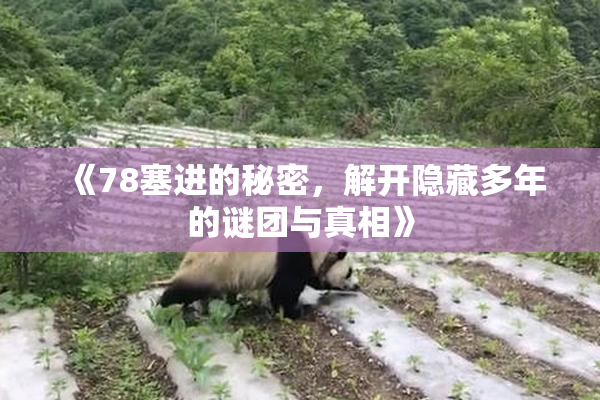 《78塞进的秘密，解开隐藏多年的谜团与真相》