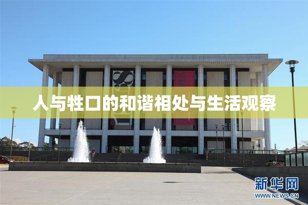 人与牲口的和谐相处与生活观察