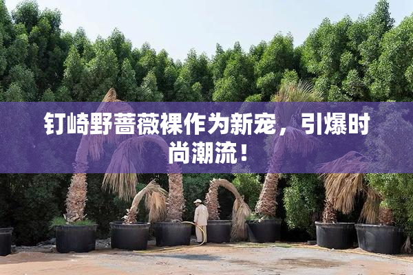 钉崎野蔷薇裸作为新宠，引爆时尚潮流！