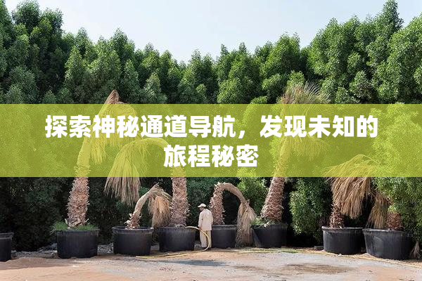 探索神秘通道导航，发现未知的旅程秘密