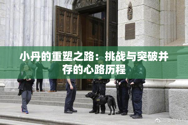 小丹的重塑之路：挑战与突破并存的心路历程