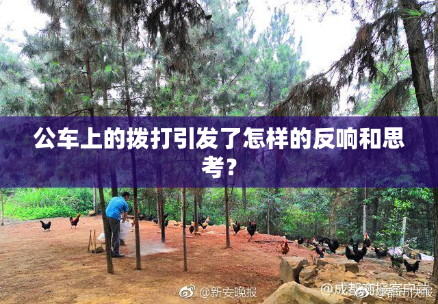 公车上的拨打引发了怎样的反响和思考？