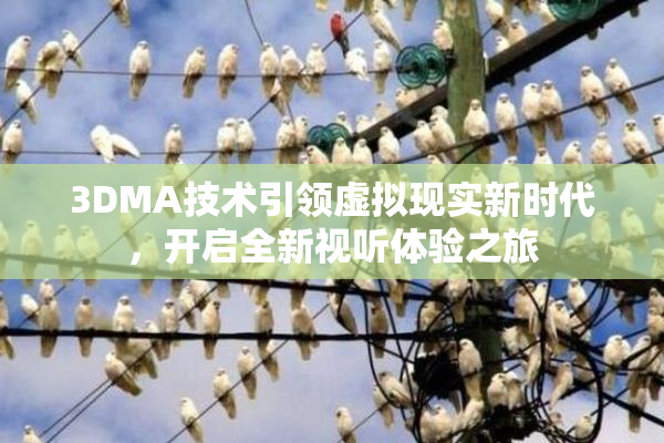3DMA技术引领虚拟现实新时代，开启全新视听体验之旅