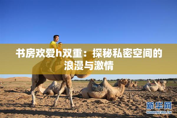 书房欢爱h双重：探秘私密空间的浪漫与激情