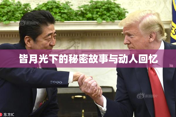 皆月光下的秘密故事与动人回忆