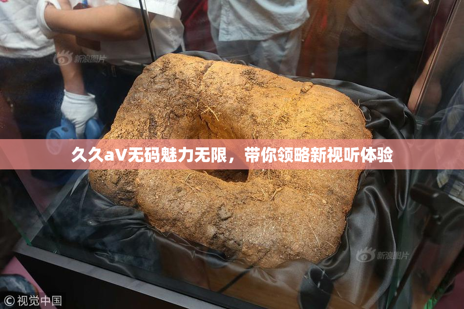 久久aV无码魅力无限，带你领略新视听体验