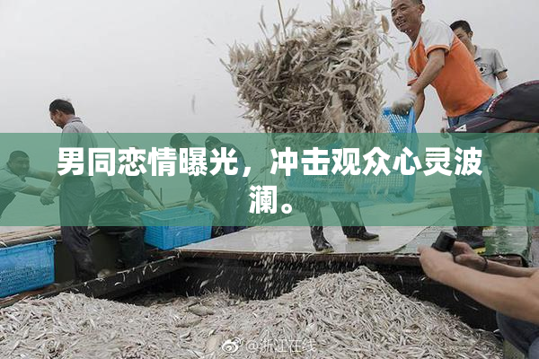 男同恋情曝光，冲击观众心灵波澜。