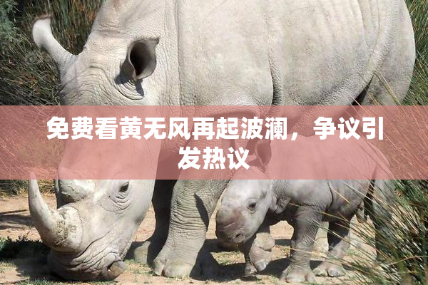免费看黄无风再起波澜，争议引发热议