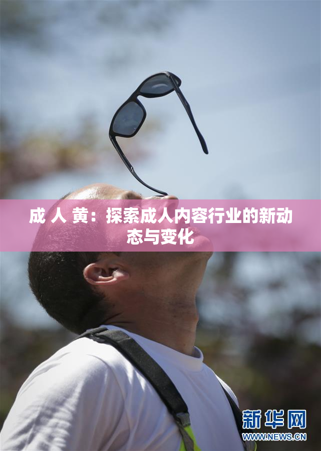 成 人 黄：探索成人内容行业的新动态与变化