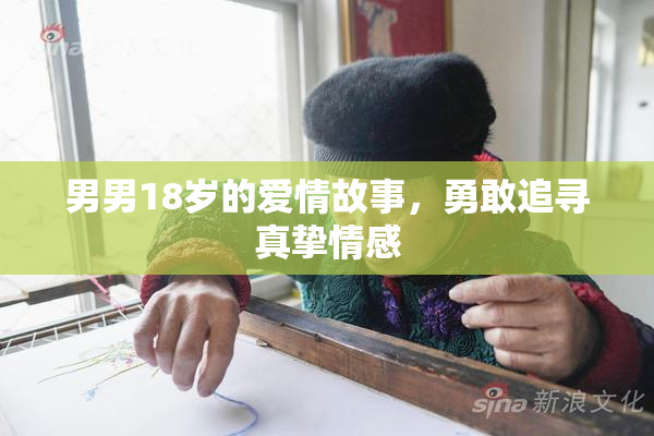 男男18岁的爱情故事，勇敢追寻真挚情感