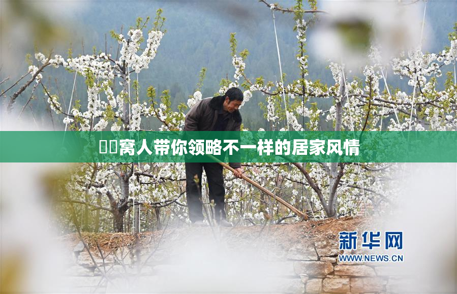 妺妺窝人带你领略不一样的居家风情