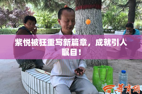 紫悦被狂重写新篇章，成就引人瞩目！
