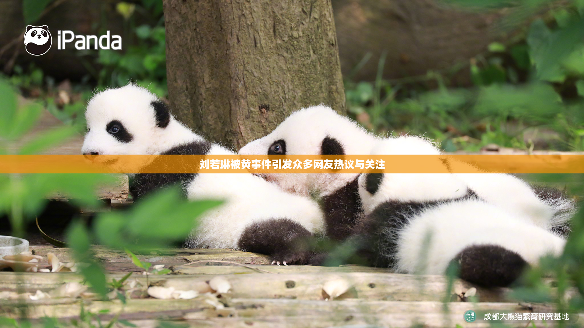 刘若琳被黄事件引发众多网友热议与关注