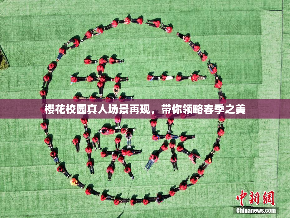 樱花校园真人场景再现，带你领略春季之美