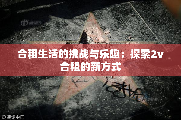 合租生活的挑战与乐趣：探索2v合租的新方式