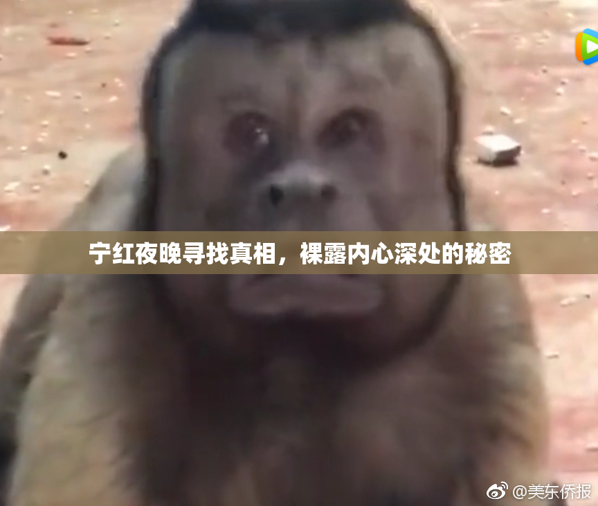 宁红夜晚寻找真相，裸露内心深处的秘密